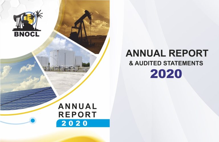 2020-Annual-Report